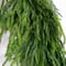 8ft. Artificial Real Touch Norfolk Island Pine Garland with Natural Look